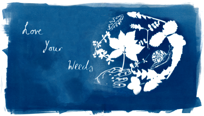 Love Your Weeds: Cyanotype & Foraging