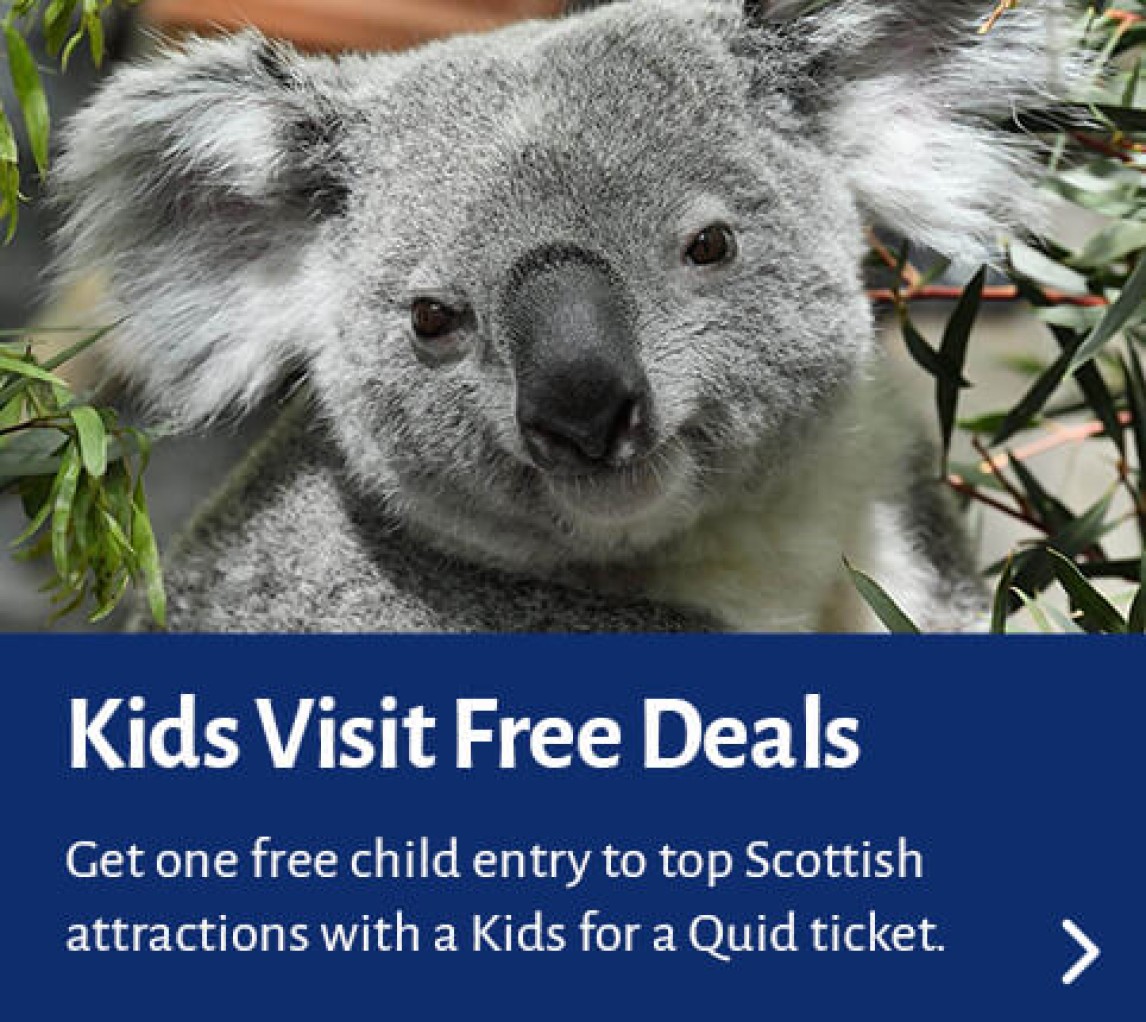 Kids Visit Free Deals. Get one free child entry to top Scottish attractions with a Kids for a Quid ticket. 